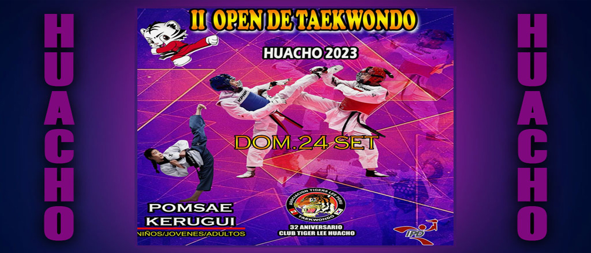 Enlace permanente a:CAMPEONATO HUACHO